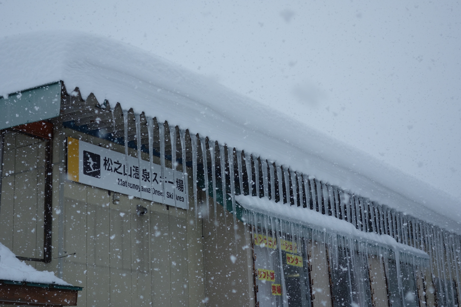 スキー 松之山 場 温泉 松之山温泉スキー場 2020