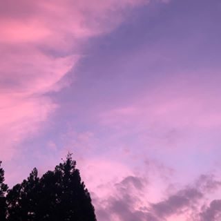 本日の空模様

#醸す森 #kamosumori #夕陽 #加工してません